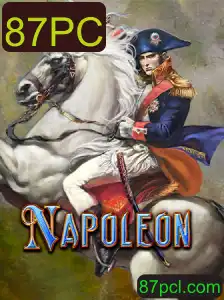 Descubra o Jogo de Cartas Napoleon: Regras e Estratégia