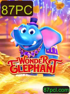 Descubra o Fascinante Jogo WonderElephant: Aventuras e Estratégias